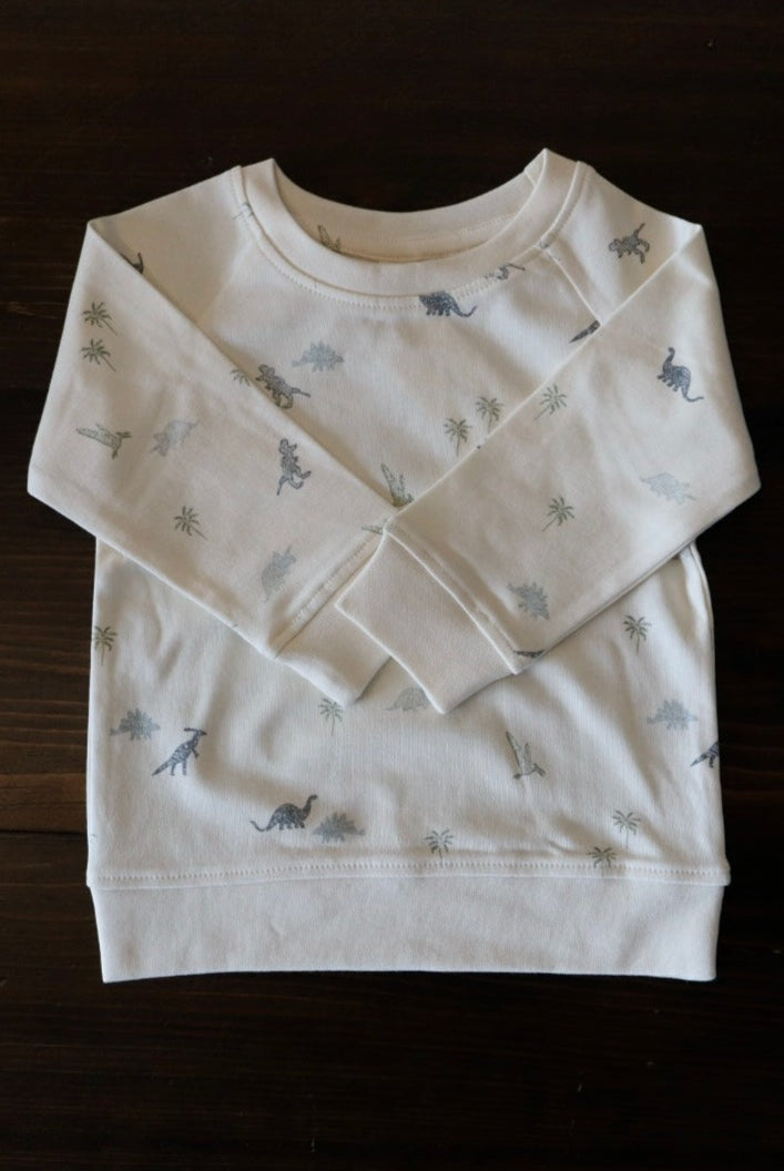 Toddler Dino Sweatshirt